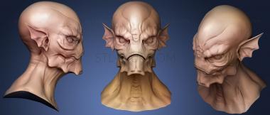 3D model Head Sculpt 11 (STL)